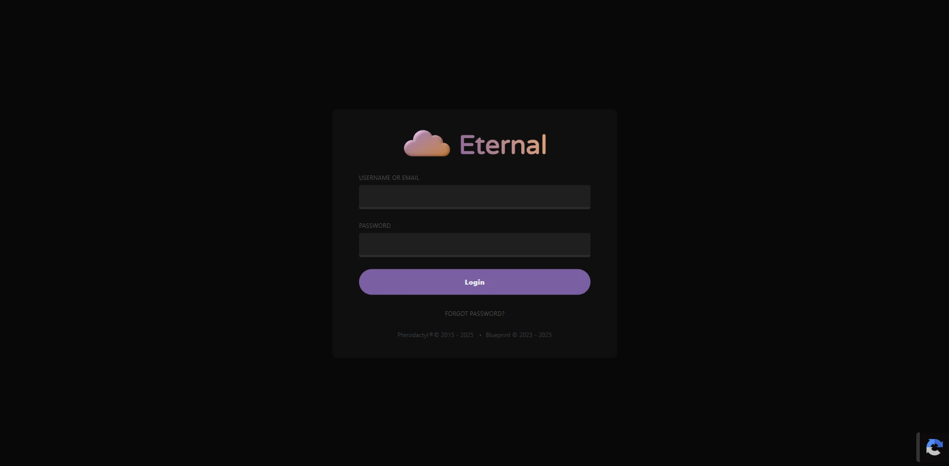 Server Login Panel
